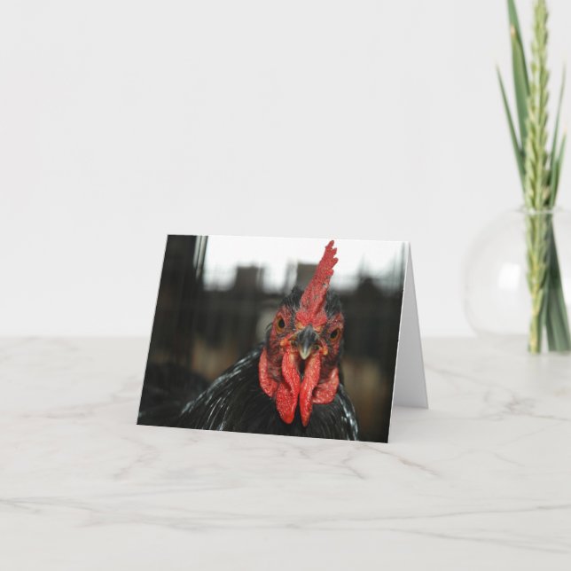 CARTÃO CHICKEN NOTECARD (Frente)