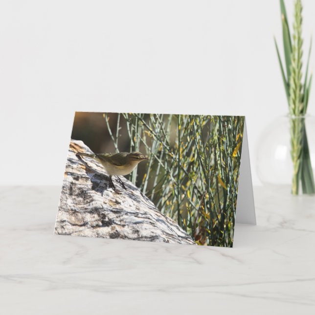 Cartão Chiffchaff Greeting Card (Frente)