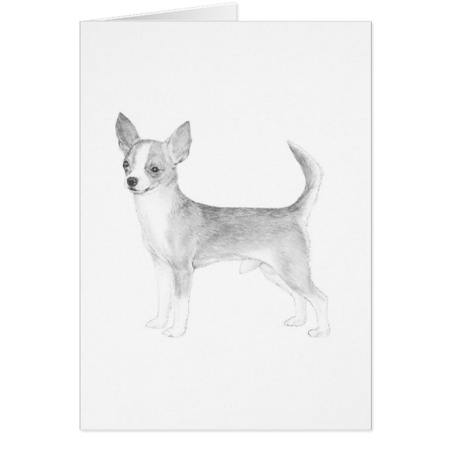 Cartão Chihuahua (Frente)