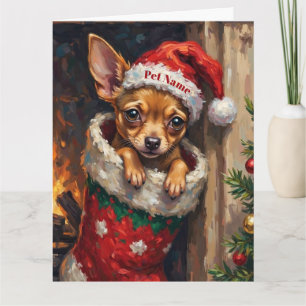 Cartão Chihuahua Aninhado no Chapéu de Meia de Natal