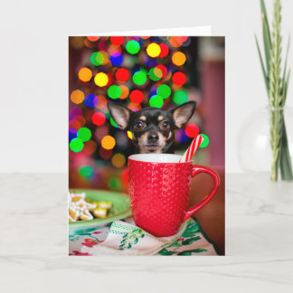Cartão Chihuahua Christmas