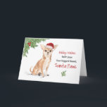 Cartão Chihuahua Christmas from Dog in Funny Santa Hat<br><div class="desc">As lindas Chihuahua estarão espalhando diversão neste Natal enquanto vestem um chapéu de Papai Noel enquanto o fazem. Este cartão compartilha a mensagem de Natal mais engraçada de sempre e torna este cartão perfeito para dar e gozar com qualquer dono de cachorro que você conheça.</div>
