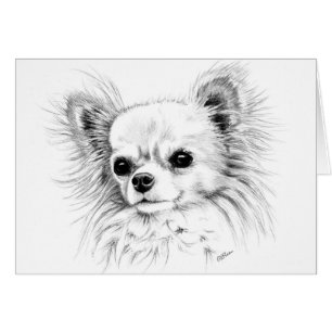 Cartão Chihuahua de Longcoat