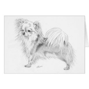 Cartão Chihuahua de Longcoat - estando