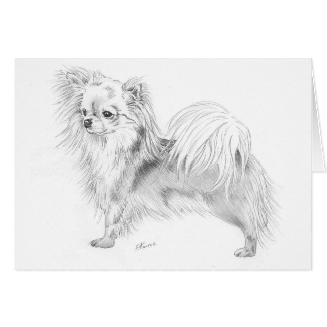 Cartão Chihuahua de Longcoat - estando (Frente Horizontal)