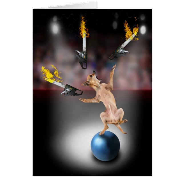 Cartão Chihuahua de mnanipulação da serra de cadeia (Frente)