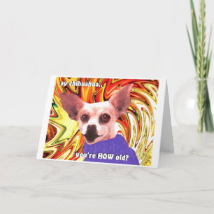 Cartão chihuahua do aniversário