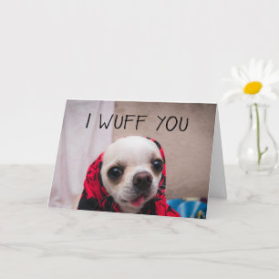 Cartão Chihuahua fofo Eu amo você amor Dia dos Namorados