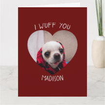 Chihuahua fofo wuff você ama foto coração de valen