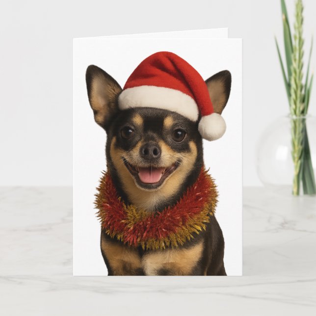 Cartão Chihuahua looking cheeky Santa hat Christmas card (Frente)