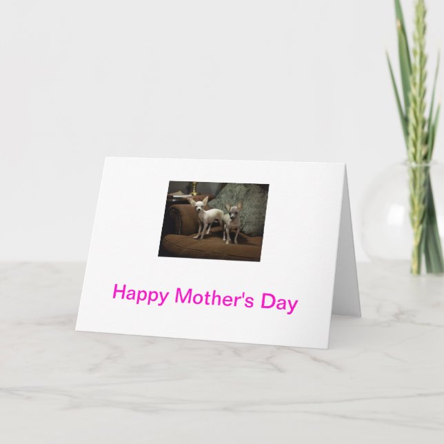 Cartão Chihuahua Mother's Day Card (Frente)