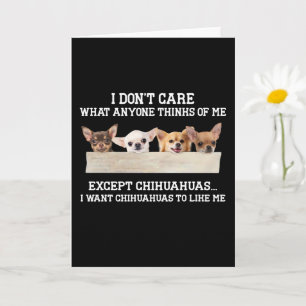 Cartão Chihuahua Não Me Importo Com O Que Qualquer Um Pen