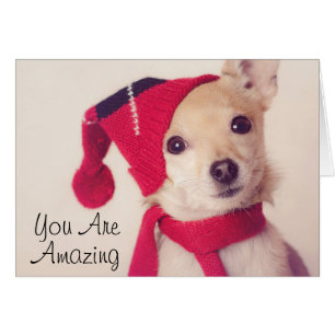 Cartão Chihuahua no boné do inverno