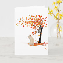 Chihuahua Owl E Chall Tree Chihuahua No Outono