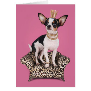 Cartão Chihuahua Princess