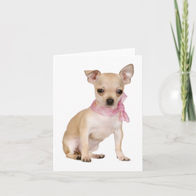 Cartão Chihuahua Puppy Dog Blank Note or Greeting Card (Frente)