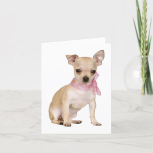 Cartão Chihuahua Puppy Dog Blank Note or Greeting Card