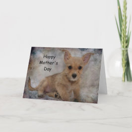 Cartão Chihuahua/Yorkie Puppy