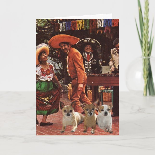 Cartão Chihuahuas 3 Amigos Card (Frente)
