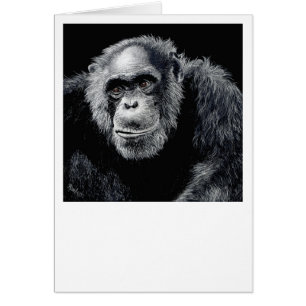 Cartão Chimp Card - "Jacob"