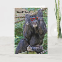Chimp selvagem com óculos de sol