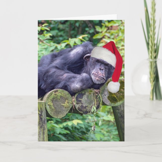 Cartão Chimpanzé de Natal com um Chapéu Santa (Frente)