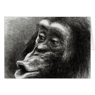 Cartão Chimpanzé Desapontado e Sulky