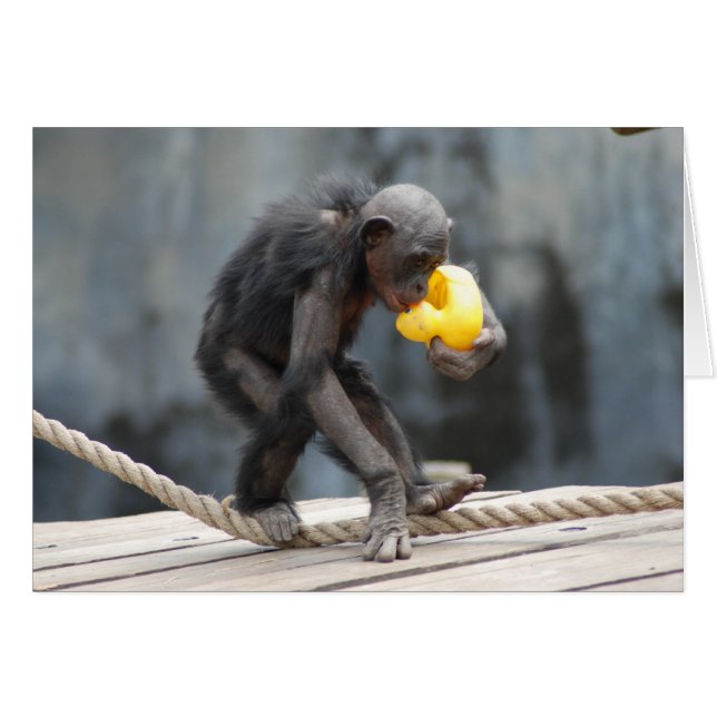 Cartão Chimpanzé e Rubbery Ducky (Frente horizontal)
