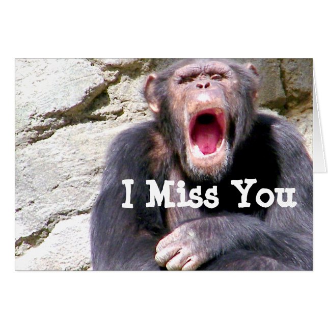 Cartão Chimpanzee_ (Frente Horizontal)