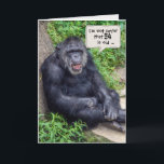 Cartão chimpanzee 64th birthday<br><div class="desc">Chimpanzee leaning on rock with green vegetation for 64th birthday.</div>