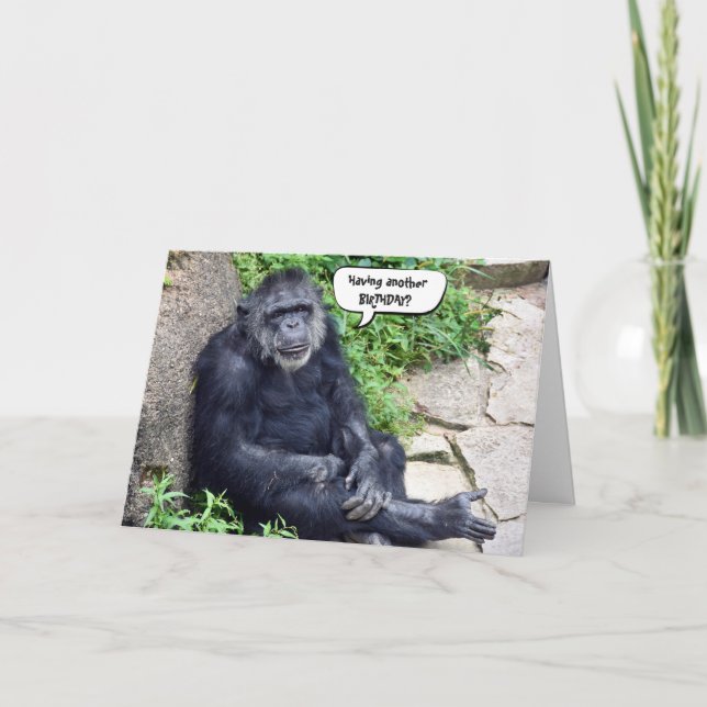 Cartão Chimpanzee Birthday Humor (Frente)