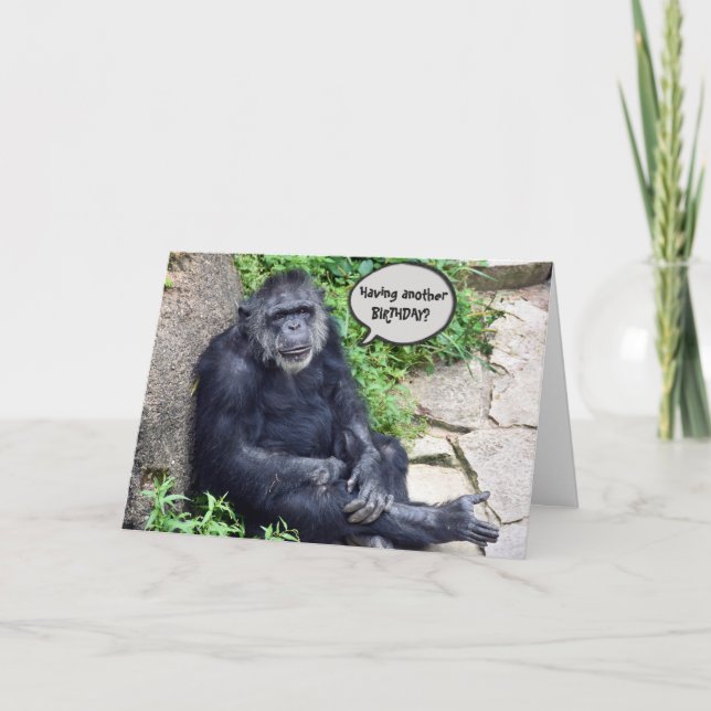 Cartão Chimpanzee Humorous Birthday (Frente)