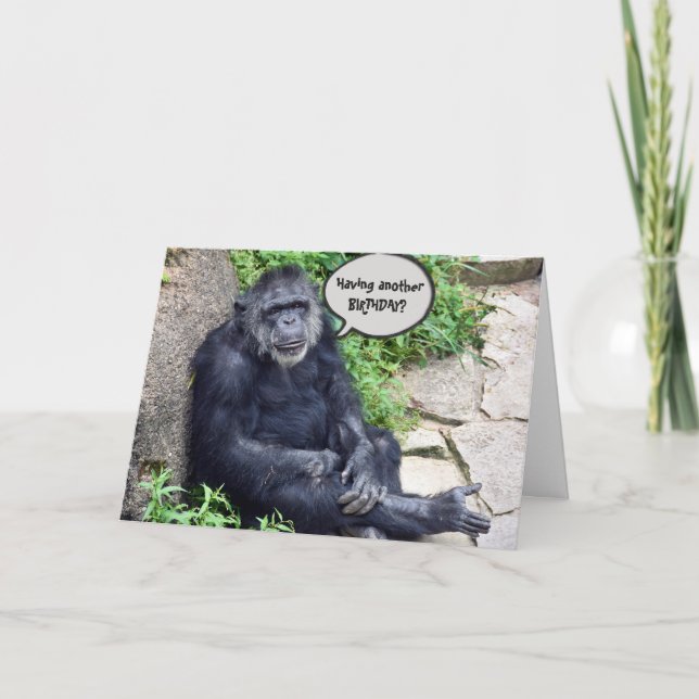 Cartão Chimpanzee Humorous Birthday (Frente)