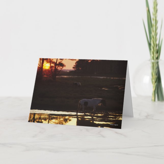 Cartão Chincoteague Caminhando na Água ao Sol (Frente)