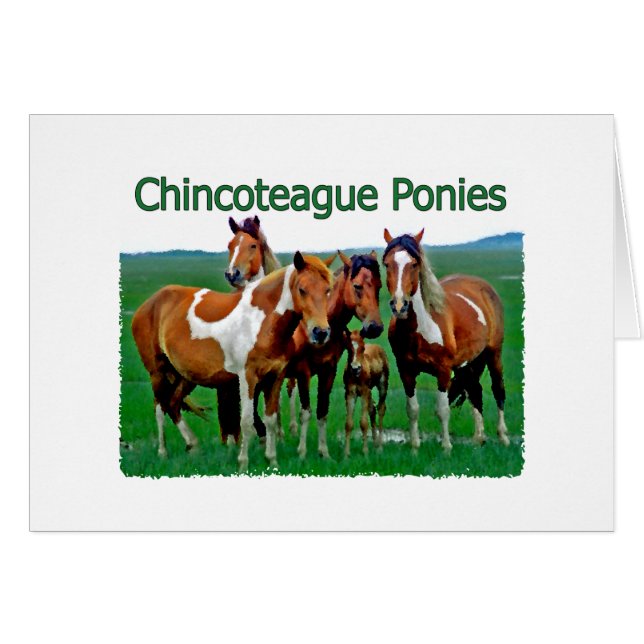 Cartão Chincoteague Ponies (família) (Frente Horizontal)