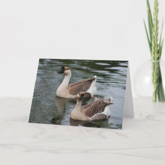 Cartão Chinese Brown Geese Greeting Card