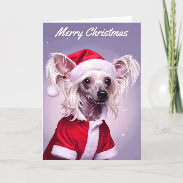 Cartão Chinese Crested Santa Christmas (Frente)
