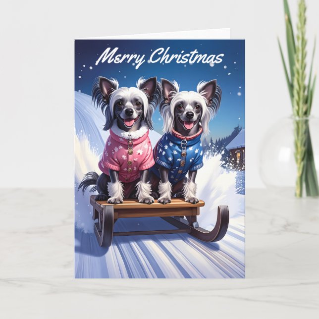 Cartão Chinese Crested Sled Ride Christmas (Frente)