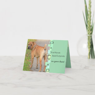 Cartão Chinese Shar Pei Birthday Greeting Card