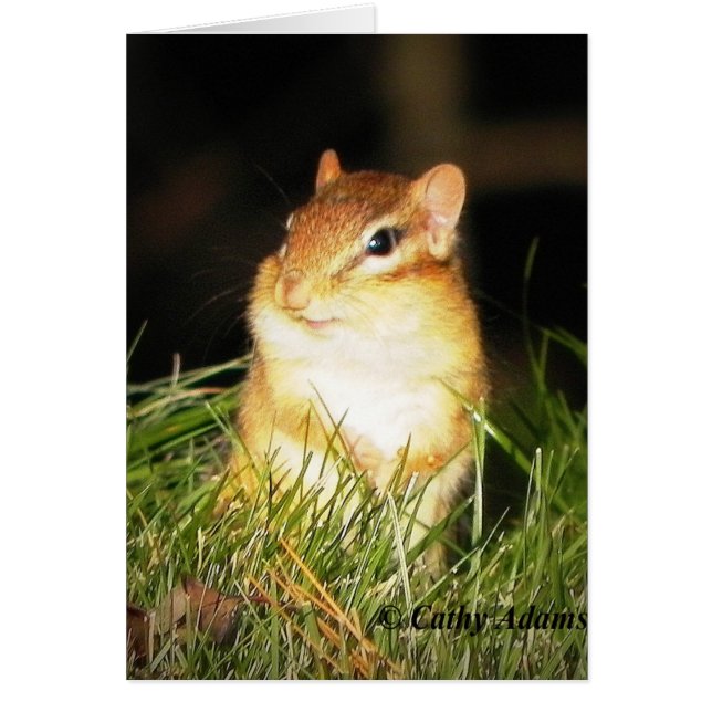 Cartão Chipmonk sorridente (Frente)