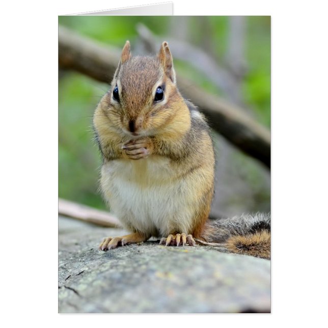 Cartão Chipmunk bonito super que levanta doce (Frente)