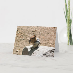Cartão Chipmunk em Yosemite, Califórnia