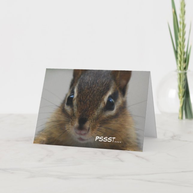 Cartão Chipmunk Greeting Card (Frente)