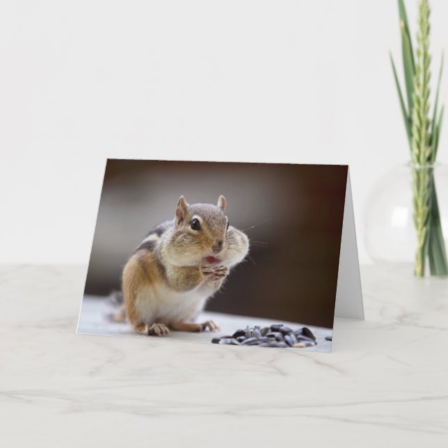 Cartão Chipmunk with Cheeks Full Photo (Frente)