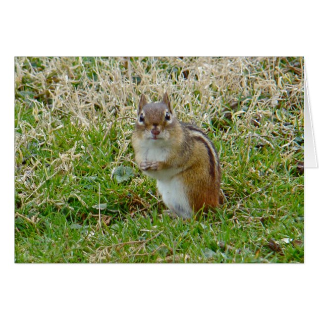 Cartão Chipset oriental (Frente Horizontal)