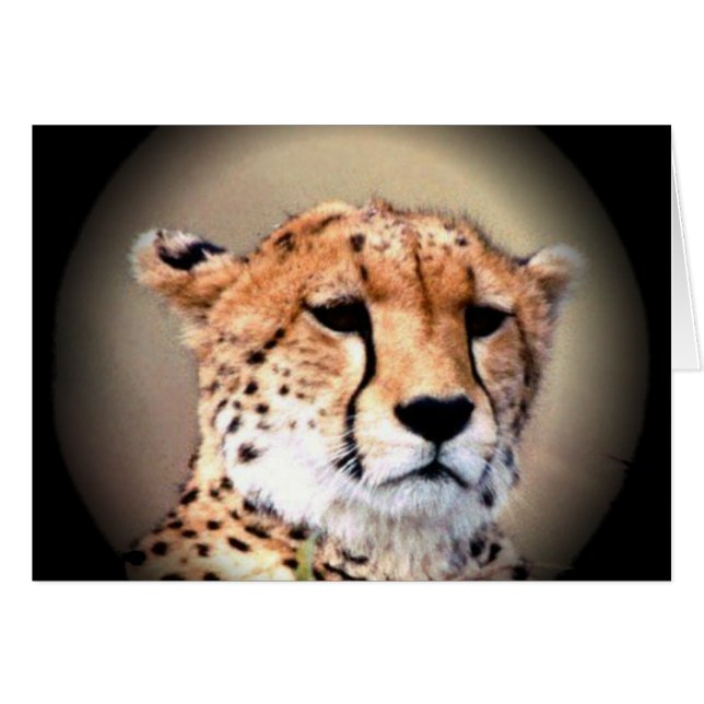 Cartão Chita Retrato de Lua Cheia: Graça da Natureza (Frente Horizontal)