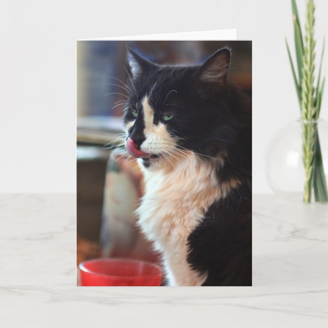 Cartão Chloe Licks (Frente)