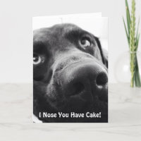 Chocolate Lab Birthday Greeting Card