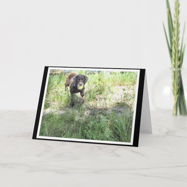 Cartão Chocolate Lab Card (Frente)