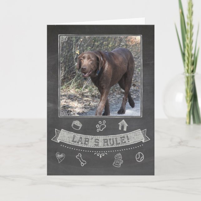 Cartão Chocolate Lab Chalkboard Birthday Card (Frente)